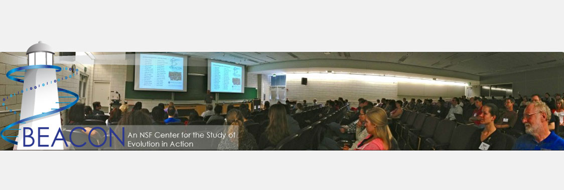 BEACON - An NSF Center for the Study of Evolution in Action