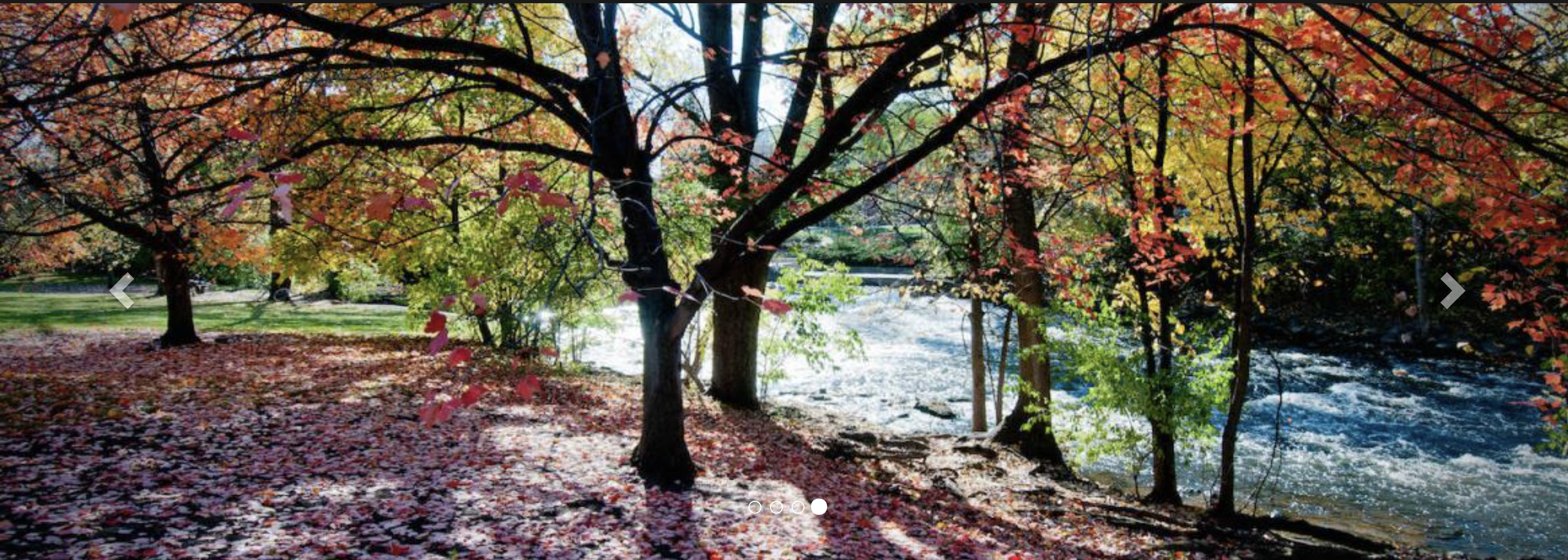The Red Cedar River on MSU campus in the fall