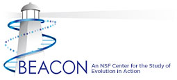 BEACON - An NSF Center for the Study of Evolution in Action