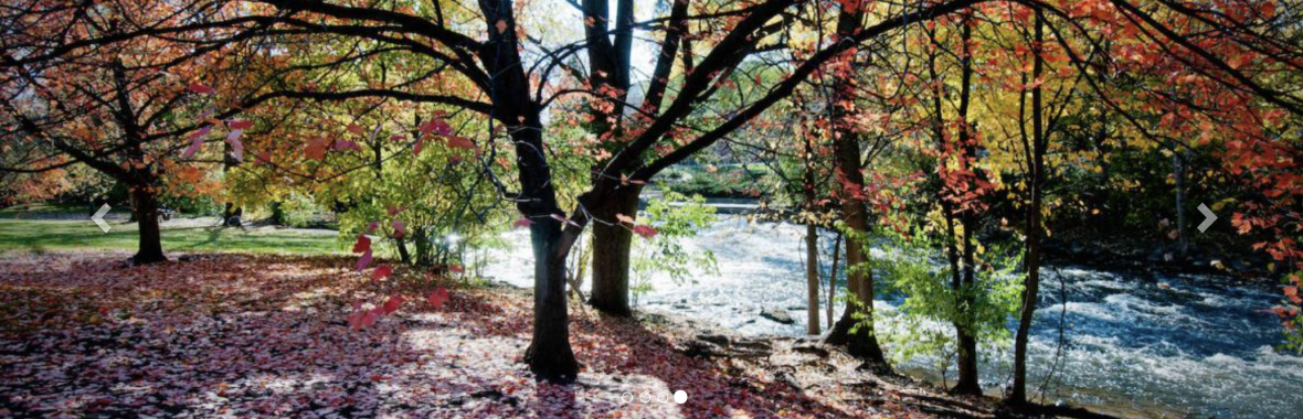 The Red Cedar River on MSU campus in the fall