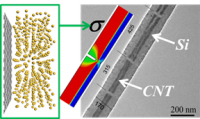 Si Nanowire