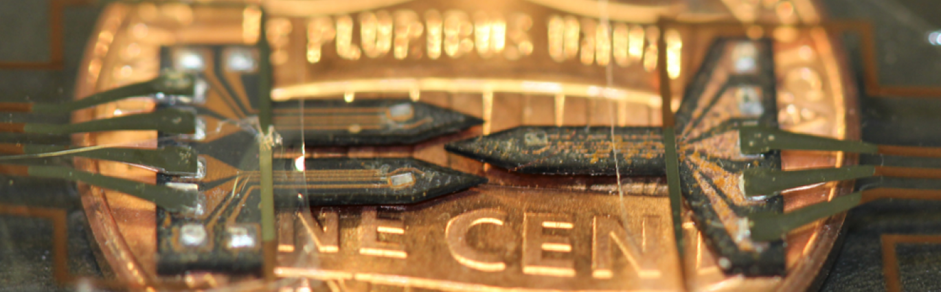 Diamond-based Neural Probe; a U.S. one cent in background
