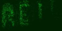 Optical control of neuronal gene expression